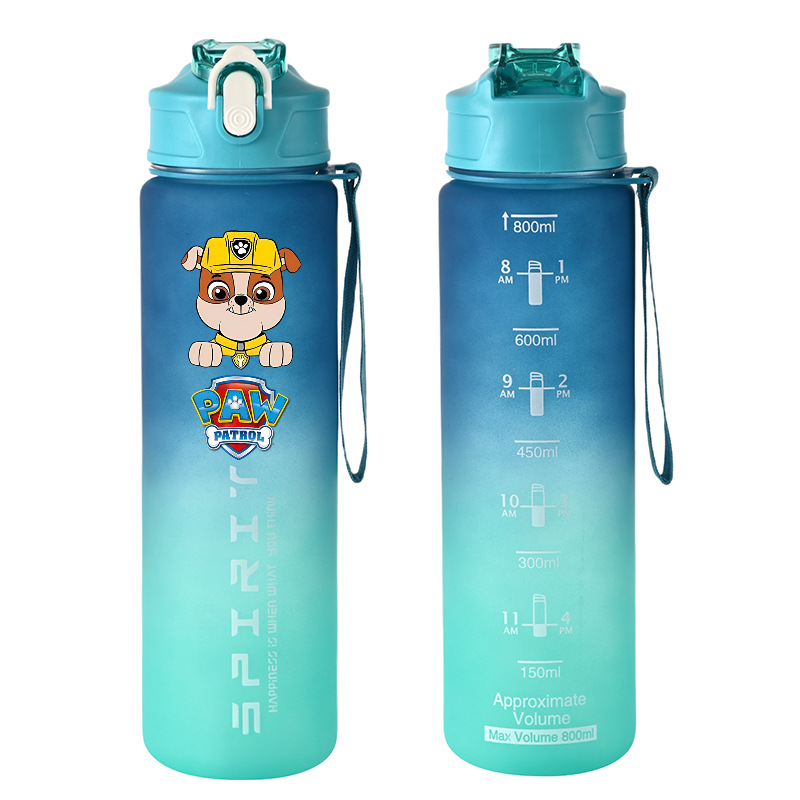 800ml PAW Patrol Sports Water  - огляд і ціна Kids Outdoor Gym