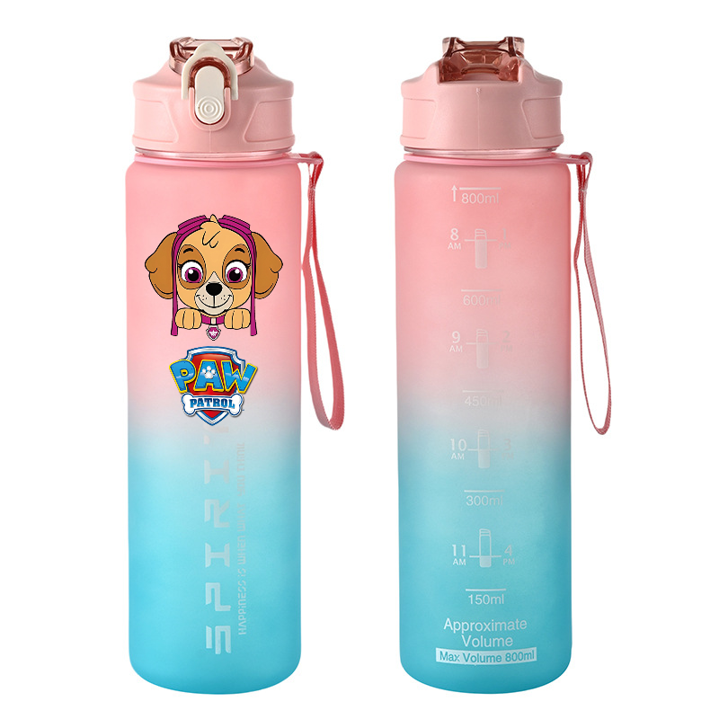 800ml PAW Patrol Sports Water  - огляд і ціна Kids Outdoor Gym