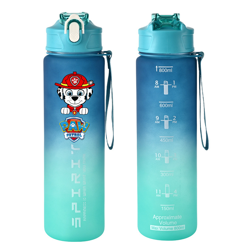 800ml PAW Patrol Sports Water  - огляд і ціна Kids Outdoor Gym